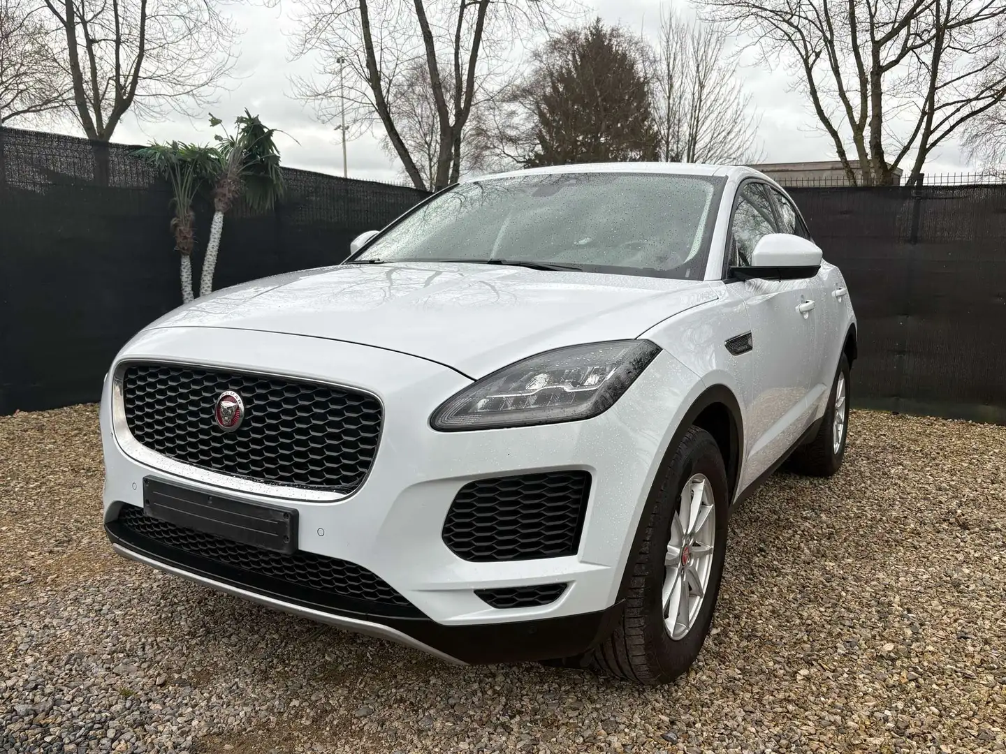 Jaguar  E-Pace 2.0 D AWD 1e PROP - NAVI - CAM - Eur6b - CASH TOP CAR  